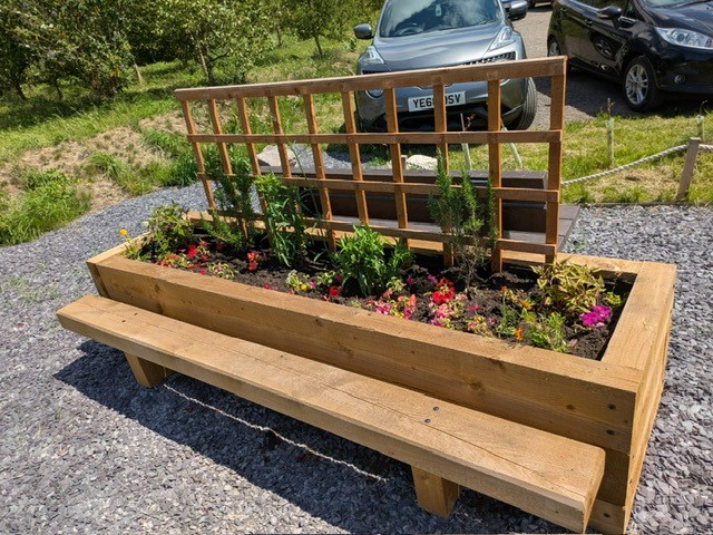 Gardd Llyfrgell Llanelwy